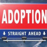 Tampa adoption attorneys