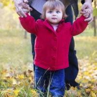Child Custody Attorneys in Tampa FL Child Custody Attorneys in Tampa FL