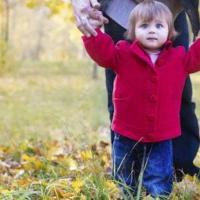 Tampa Child Custody Attorneys in FL