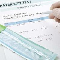 Tampa Florida Paternity Lawyers & Family Lawyers