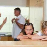 Tampa divorce attorney & family law firm Tampa divorce attorney & family law firm