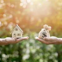 Tampa high net worth divorce lawyers Tampa high net worth divorce lawyers