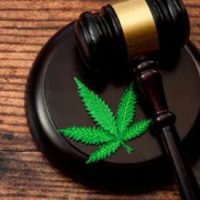 Best Tampa Criminal Defense Attorneys in Florida Best Tampa Criminal Defense Attorneys in Florida