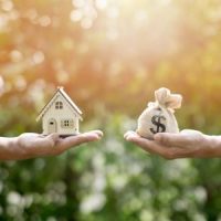 Tampa divorce asset and debt division attorneys in Florida Tampa divorce asset and debt division attorneys in Florida
