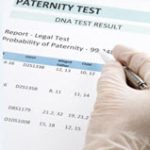 Tampa, Florida Family law paternity attorneys