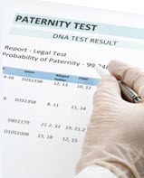 Tampa, Florida Family law paternity attorneys